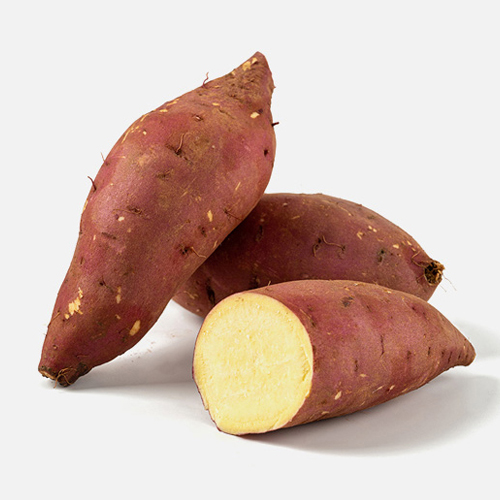 26년 해남 햇 꿀고구마